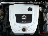 Pinstriping 10 Bora Motorabdeckung