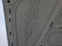 Pinstriping 10 Bora Motorhaube 2