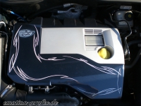 Pinstriping 2 Astra Motorabdeckung