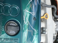 Pinstriping 9 Audi Abdeckung